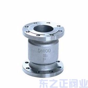 不銹鋼立式止回閥