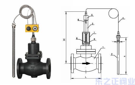 自力式溫度調(diào)節(jié)閥結(jié)構(gòu)圖